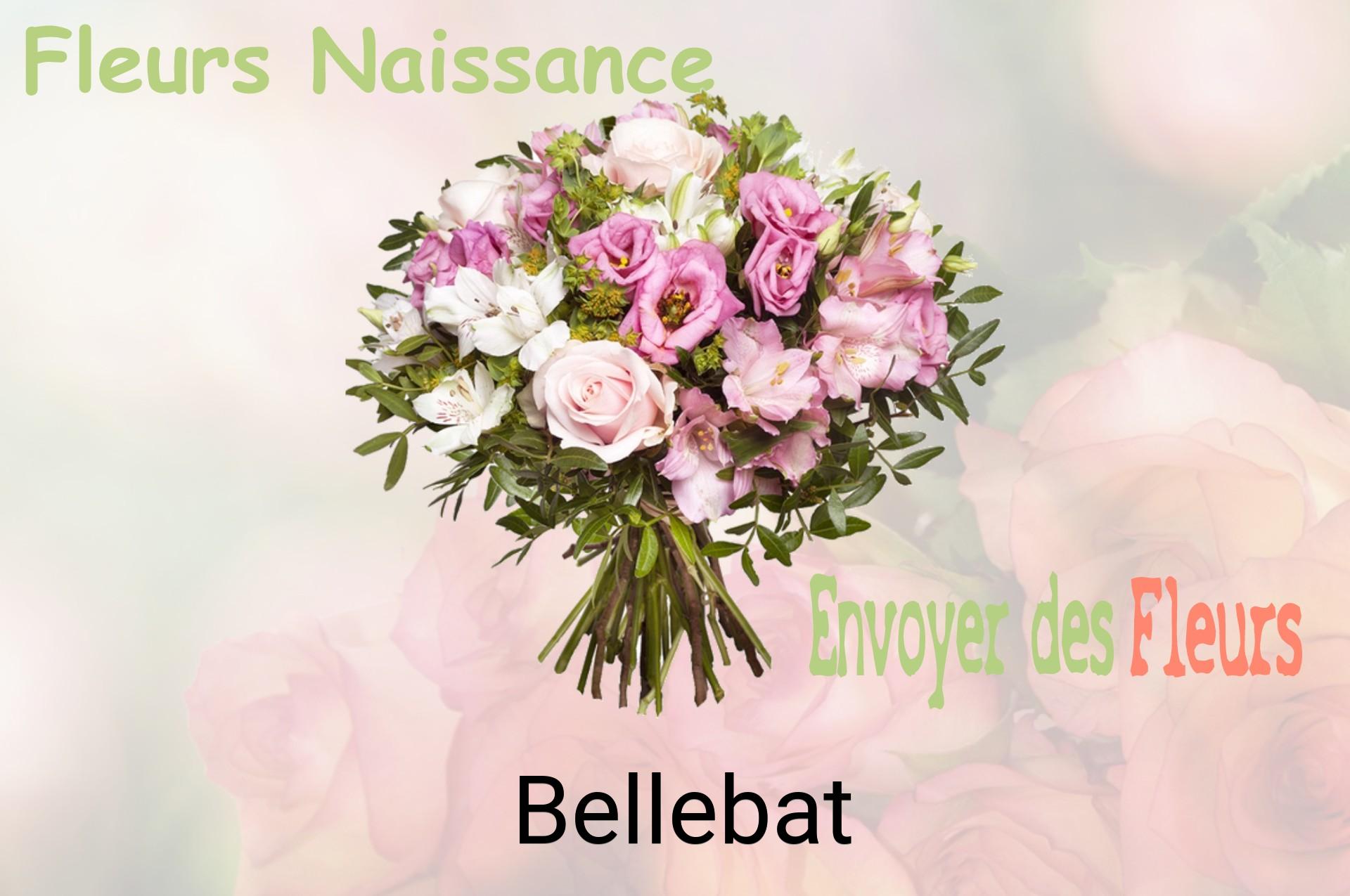 Bouquet de fleurs de naissance livré à Bellebat
